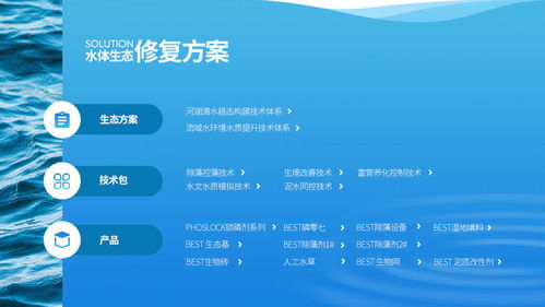 易企宣助力澳洲上市公司林澤圣泰中國區(qū)網(wǎng)站策劃開發(fā)，專業(yè)服務廈門中小企業(yè)網(wǎng)站建設(shè)